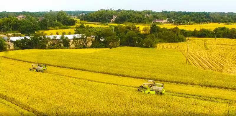 福鹿会·F6(中国)最新官方网站